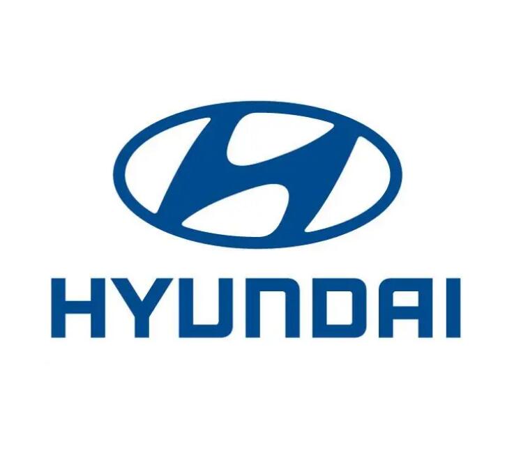 Hyundai LED LICENSE PLATE LIGHT